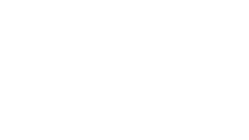 Perfecto